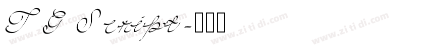 TG Script字体转换